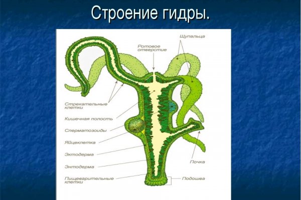 Как войти в кракен через тор