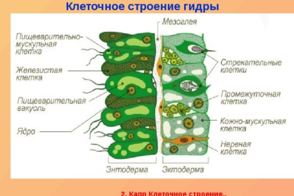 Кракен 16 at