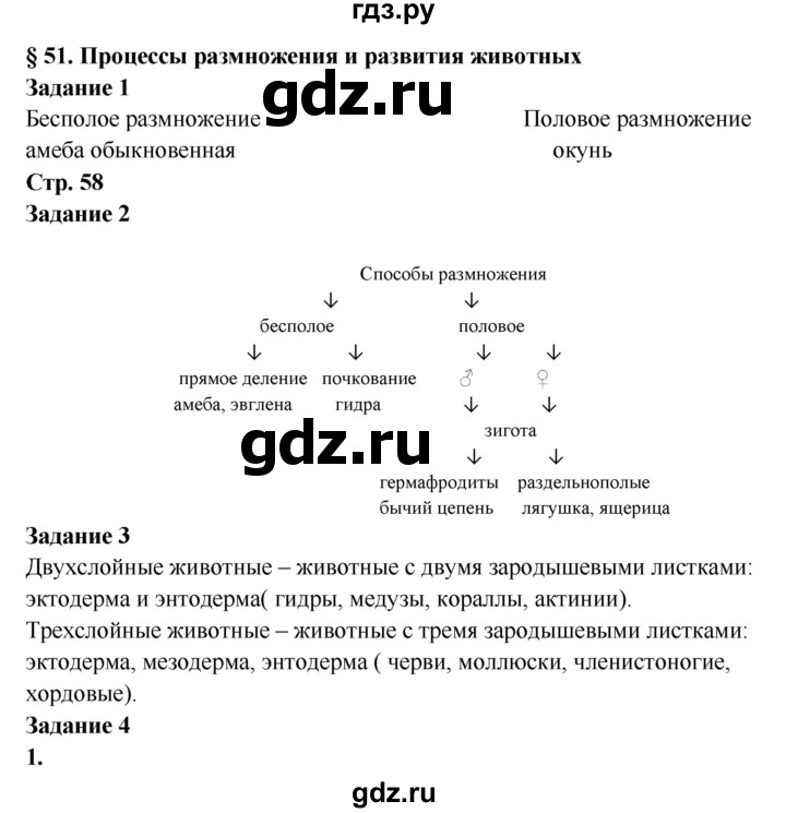 Как написать администрации даркнета кракен